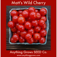 Tomato - Matt's Wild Cherry - Organic